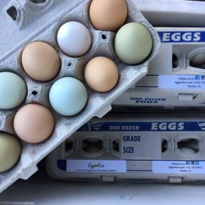 Heritage Chicken Eggs