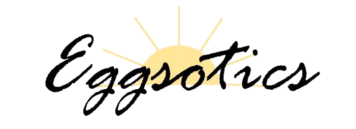 logo2-removebg-preview