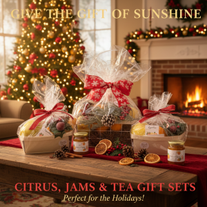 Christmas Citrus Traditions Gift Set_Preorders Start September 1st